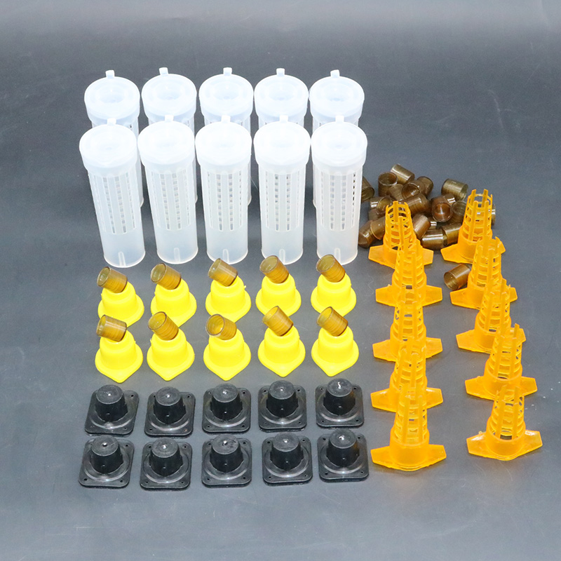 Complete bee queen king rearin - Begonia Rex review and price